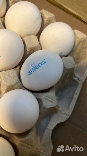 Яйцо куриное оптом от 1 коробки