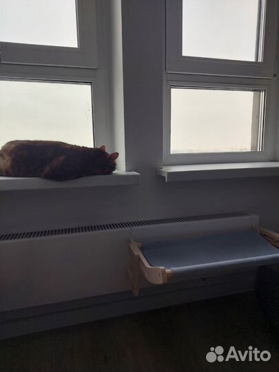 Гамак для кошек, подвесная лежанка для кошек