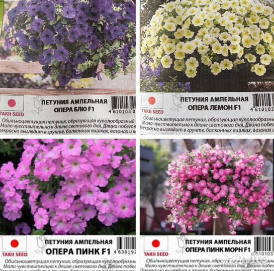 Профессиональные семена ампельной петунии