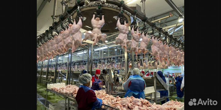 Разнорабочие на конвейер вахта