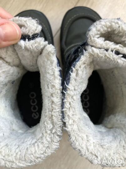 Ecco еврозима