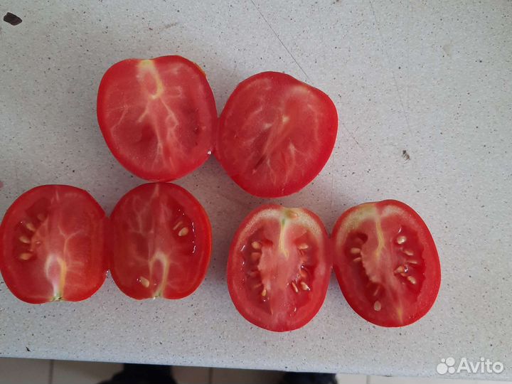 Помидоры