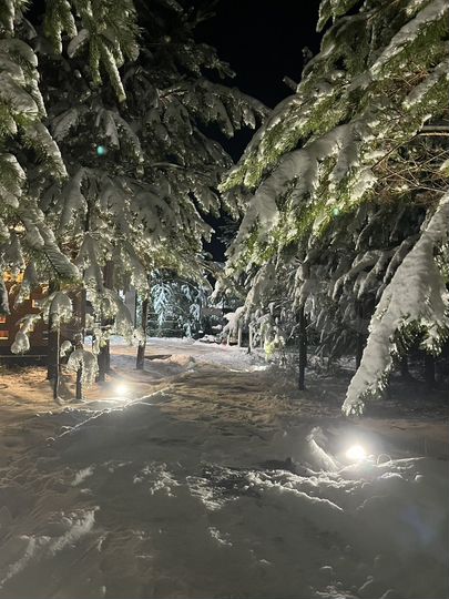 Коттедж 120 м² на участке 20 сот.