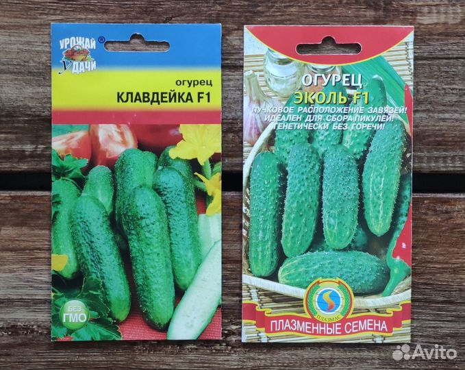 Семена огурцов