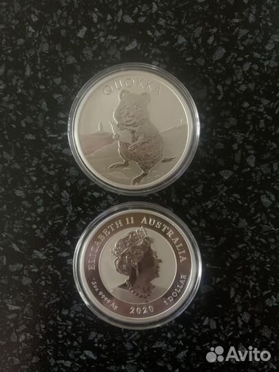 Монета квокка