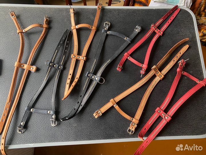 Шлейка для собаки