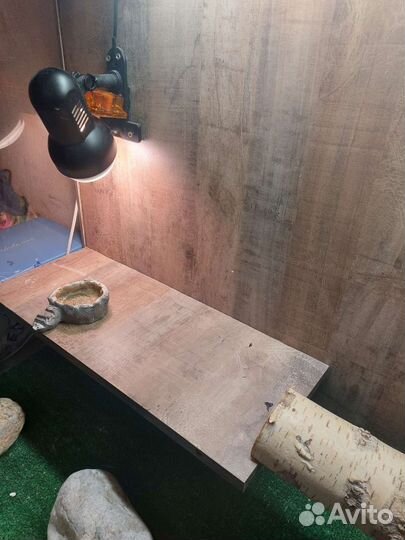 Террариум для рептилий бу