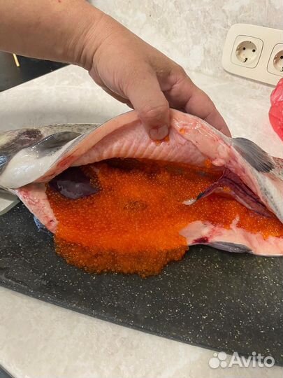 Форель охлажденная