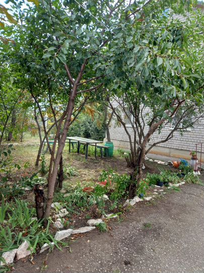 Дом 100 м² на участке 18 сот.