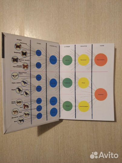 Зоология 6-7 Быховский (1973)