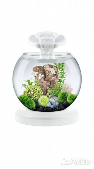 Аквариумы укомплектованные с рыбками