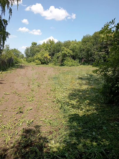 Участок 36 сот. (ИЖС)