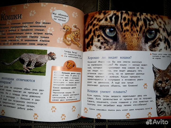 Энциклопедия 