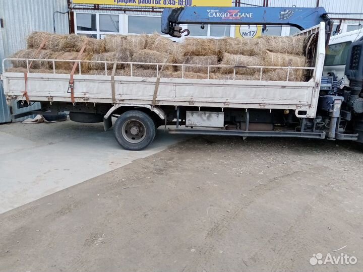 Сено в Тюках Подстилка Солома Мульча