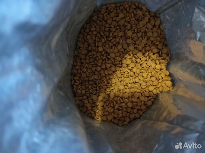 Корм для кошек Monge Monoprotein Trout с форелью