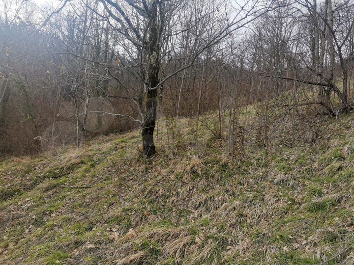 Участок 8,91 га (СНТ, ДНП)