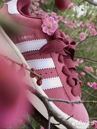 Adidas Campus 00s