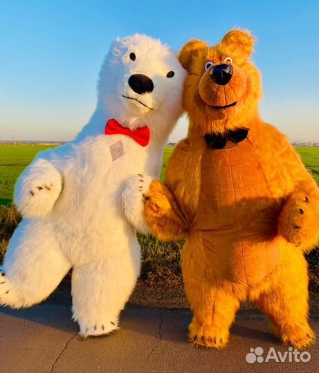 Белый Мишка и Бурый