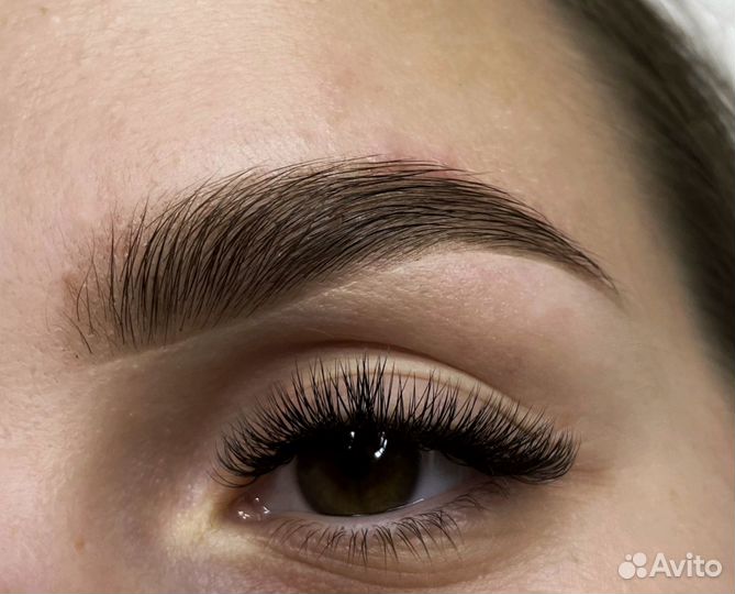 Мастер бровист