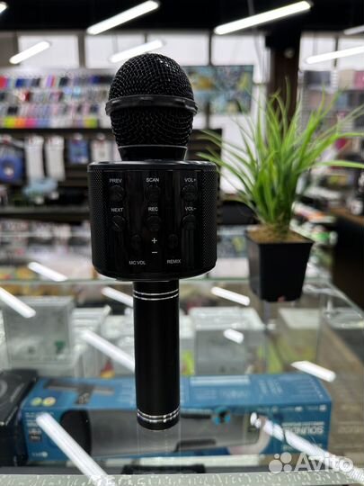 Колонка - микрофон WS-858