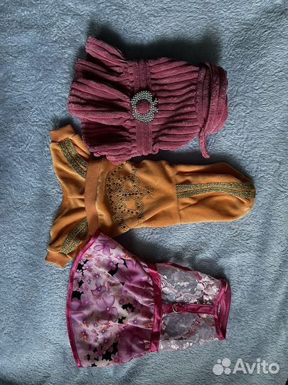 Одежда для собак