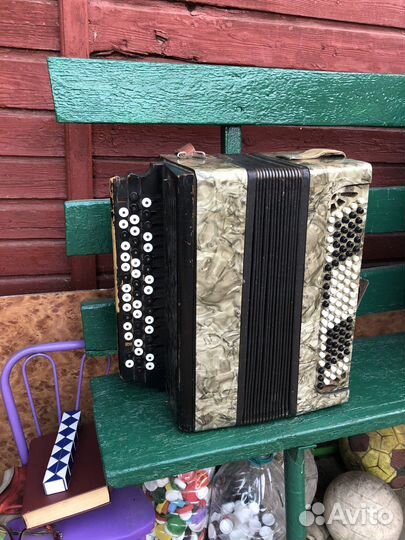 Баян кировский