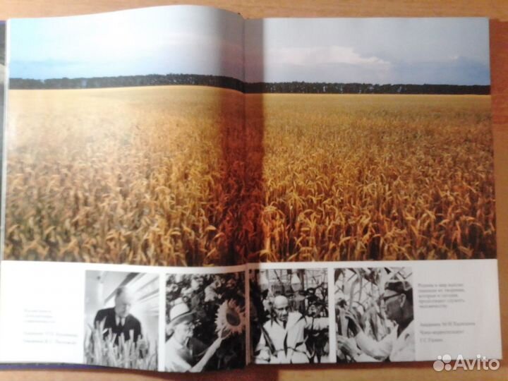 Фотоальбом 