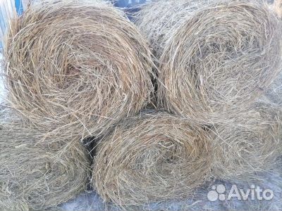 Продам сено в рулонах