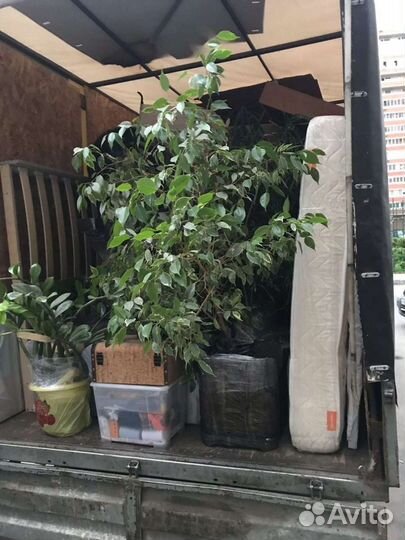 Грузоперевозки Газель,переезды грузчики