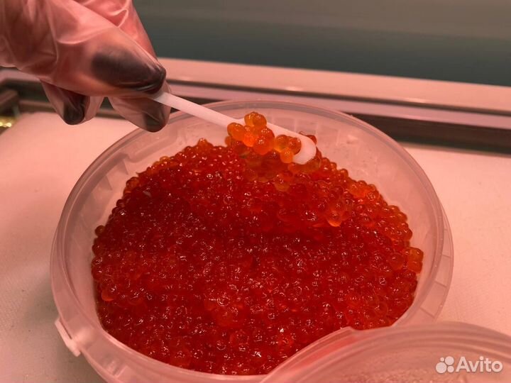 Красная икра оптом 2023 Москва