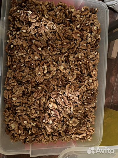 Орех грецкий бабочка