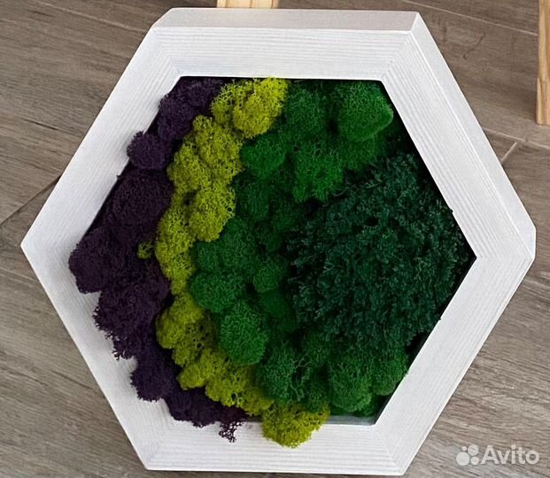 Панели из стабилизированного мха