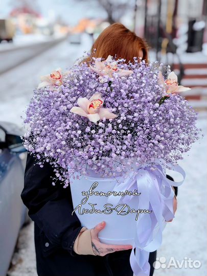 Большая коробка с гипсофилой и цимбидиумом