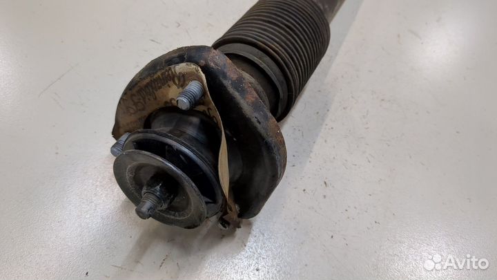 Амортизатор подвески BMW X5 E53, 2006