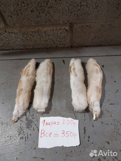 Игрушки для домашних животных