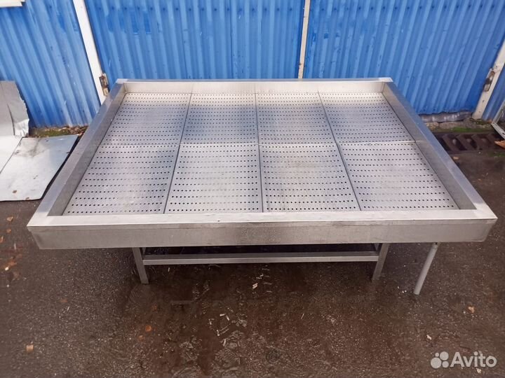 Рыба на льду