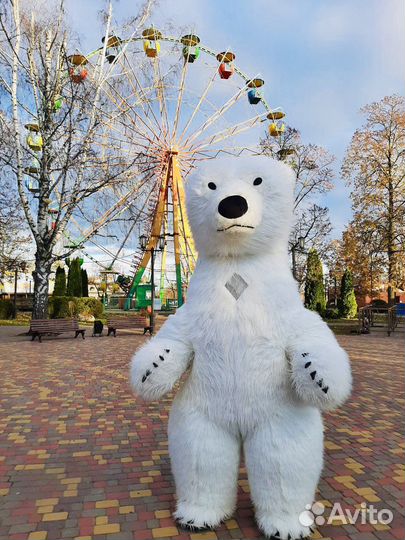 Большой Белый мишка/живая открытка/Бурый Медведь