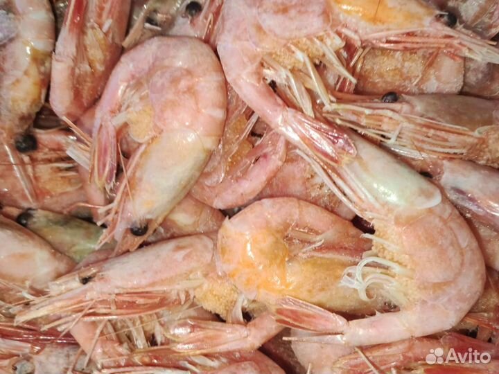 Креветка Гренландия 60/80