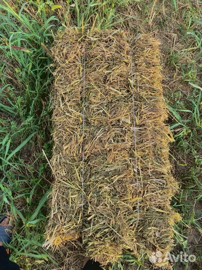 Сено солома