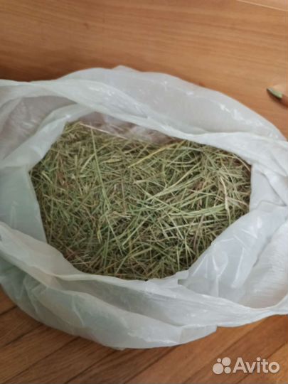 Аксессуары для грызунов