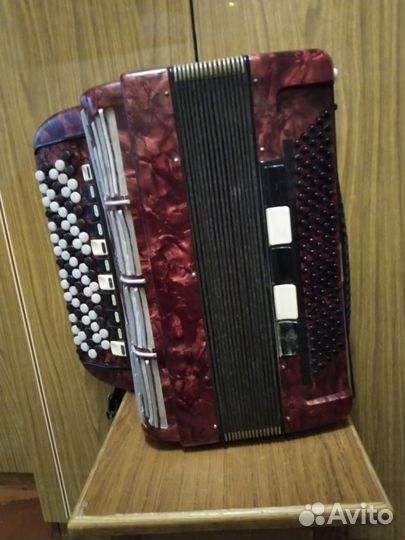 Баян weltmeister