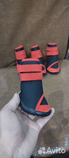 Обувь для собак