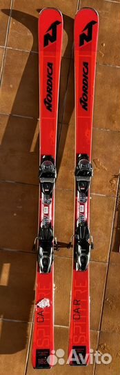 Горные лыжи