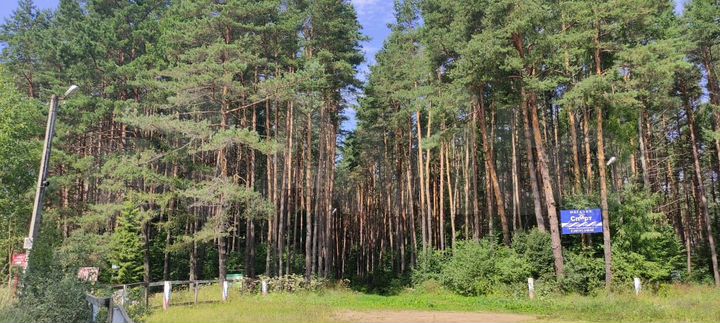 Участок 50 сот. (ИЖС)