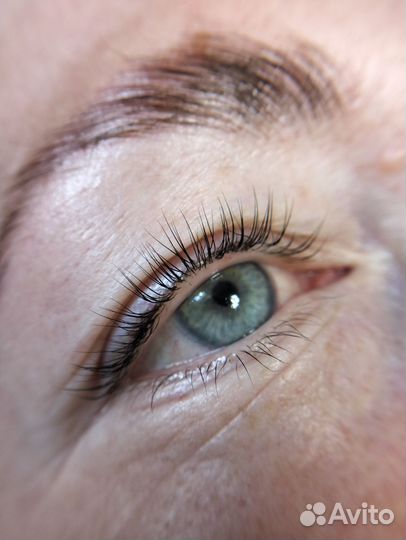 Мастер бровист