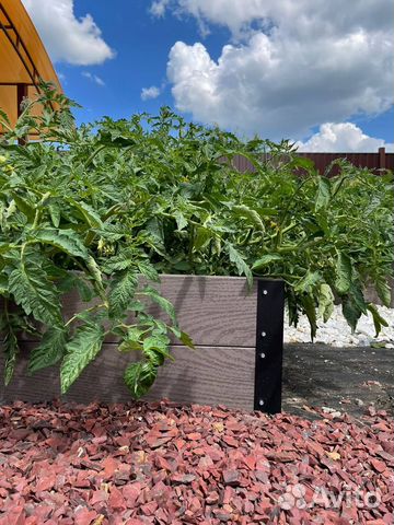 Доска для грядки из дпк купить в Новосибирске | Товары для дома и дачи ...