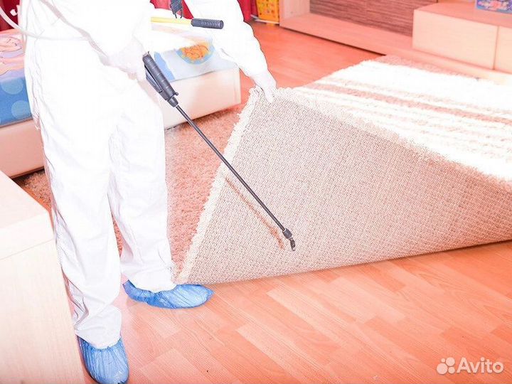 Уничтожение тараканов, дезинфекция