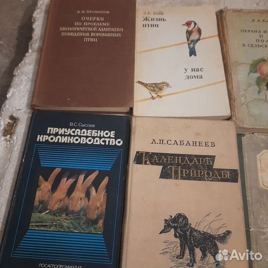 Книги про животных