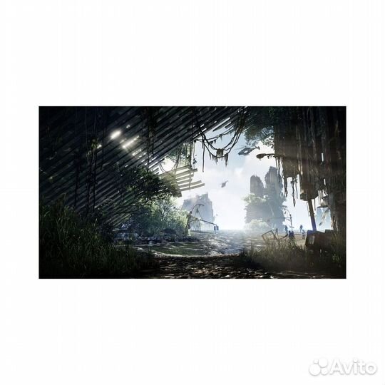 Crysis 3 Hunter Edition витринный образец, английс