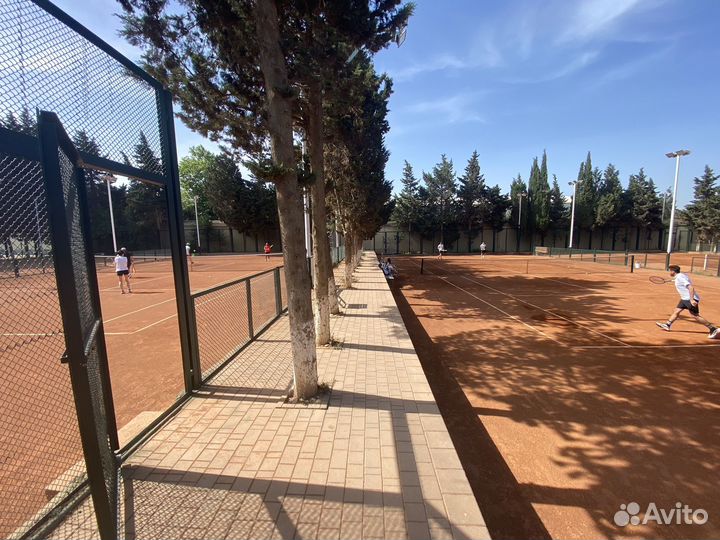 Тренер по большому теннису